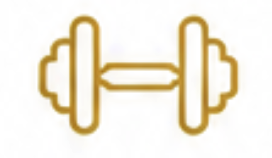 Strength & Cardio Equipment