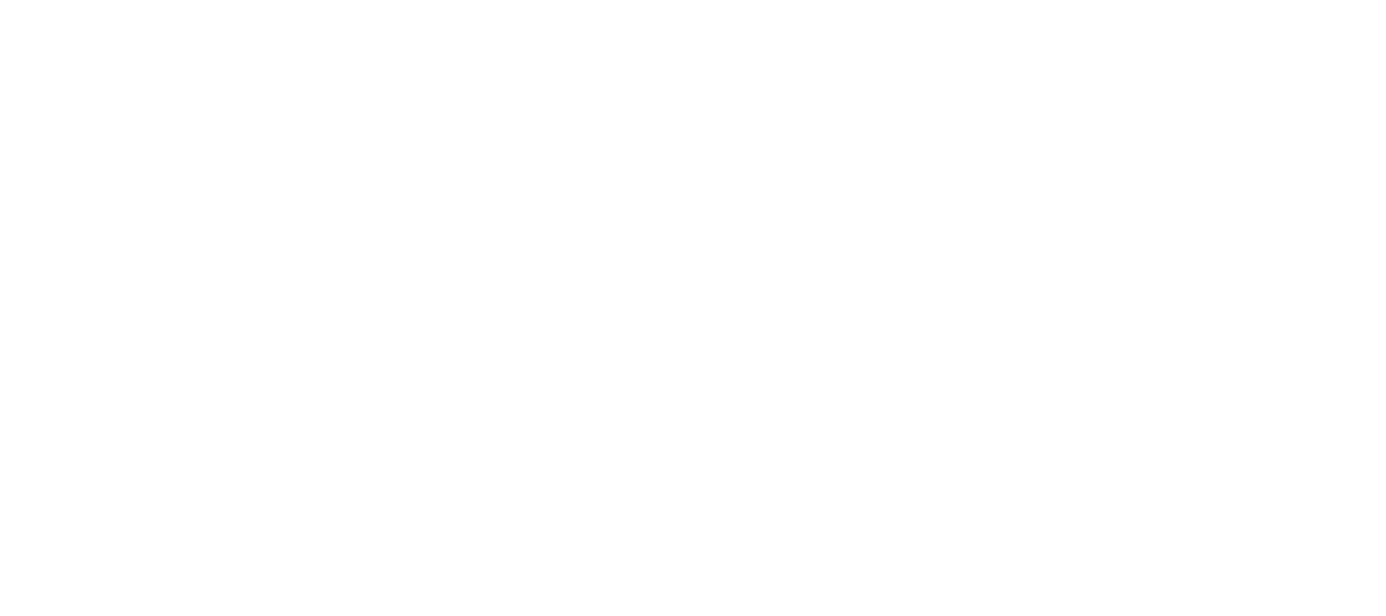 Hammer Burger