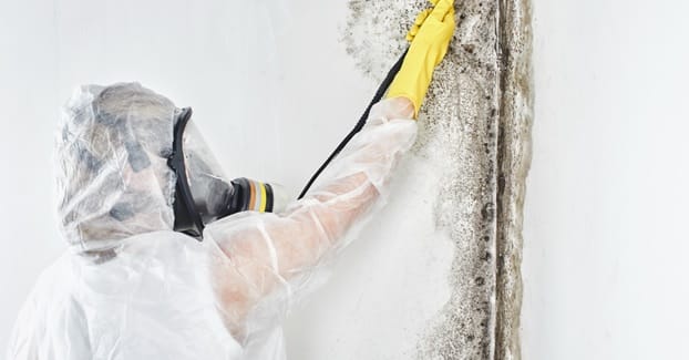 Clean-and-Disinfect-the-Area