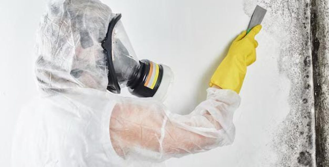 How to Handle Mold After Water Damage Immediate Steps to Take
