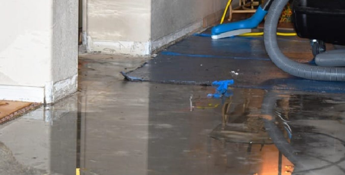 Mold-Growth-After-Water-Damage