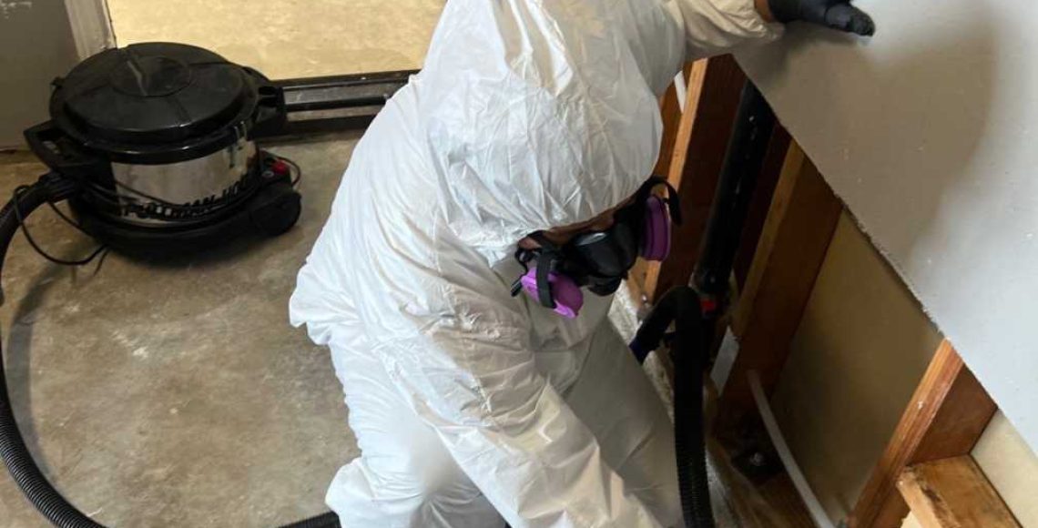 mold-remediation -protects -your-home-and-health